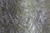 Pelsall fibreglass roof work